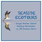 Seaside Ecotours LLC