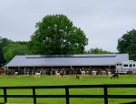 Solar power alpaca farm