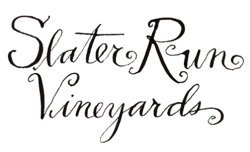 Slater Run Vineyards Slater Run Vineyards